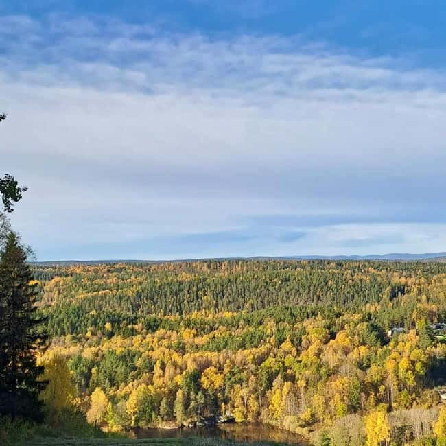 Oslo: Winter Wonderland Forest Hike and Campfire with a Dog - Down to the lake and the campfire