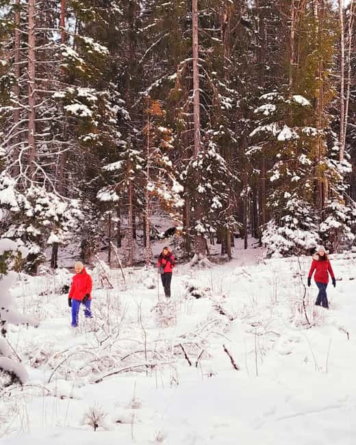 Oslo: Winter Wonderland Forest Hike and Campfire with a Dog - The second half of the loop