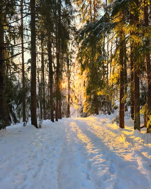 Oslo: Winter Wonderland Forest Hike and Campfire with a Dog - Winter equipment and what to wear