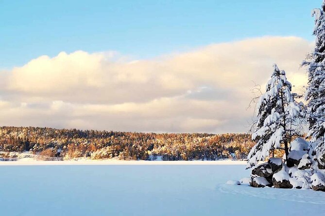 Oslo: Winter wonderland forest hike & campfire with a dog - What makes this Oslo forest walk worth your morning