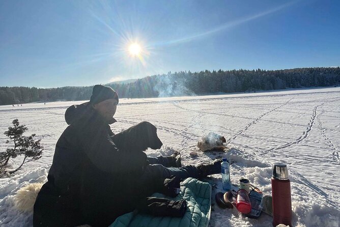 Oslo: Winter wonderland forest hike & campfire with a dog - What you get for $150.07