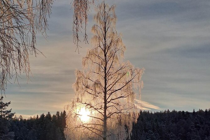 Oslo: Winter wonderland forest hike & campfire with a dog - Practical advice before you go