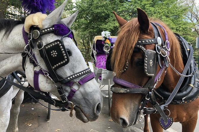 Private Christmas Lights Horse Carriage Tour In New York City - Key points to know before booking