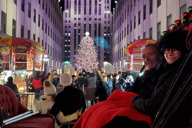 Private Christmas Lights Horse Carriage Tour In New York City - Why this carriage ride works for a New York Christmas