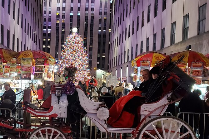 Private Christmas Lights Horse Carriage Tour In New York City - The Saks Fifth Avenue light show