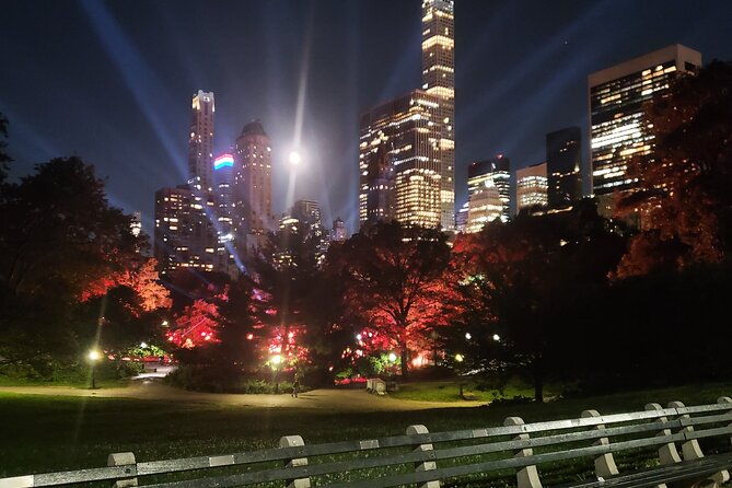 Private Christmas Lights Horse Carriage Tour In New York City - St. Patrick’s Cathedral, Radio City, and Sixth Avenue