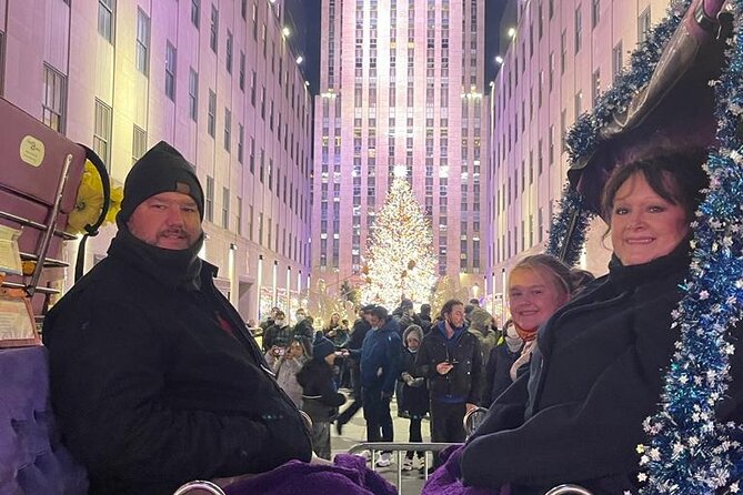 Private Christmas Lights Horse Carriage Tour In New York City - What the horse and driver add