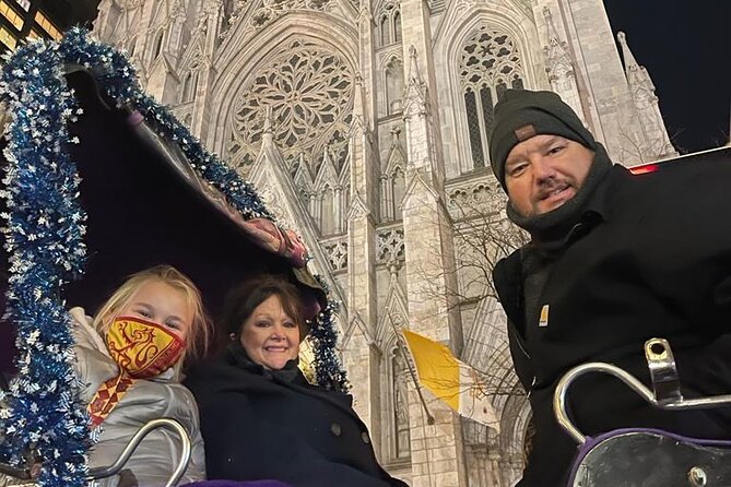 Private Christmas Lights Horse Carriage Tour In New York City - The $450 price and who gets good value