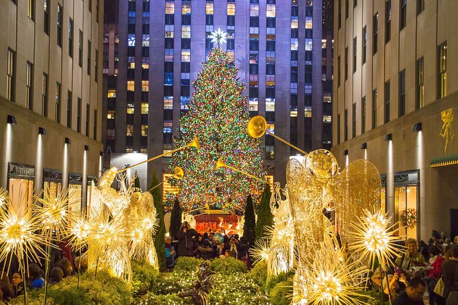 Private Christmas Lights Horse Carriage Tour In New York City - Starting beside Central Park at 59th Street