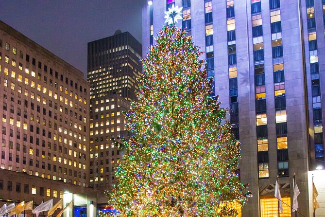 Private New York Christmas Tour with Driver and Guide - Downtown at the Oculus, Wall Street, and the harbor