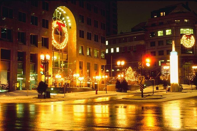 Private New York Christmas Tour with Driver and Guide - What $1,399 buys your group