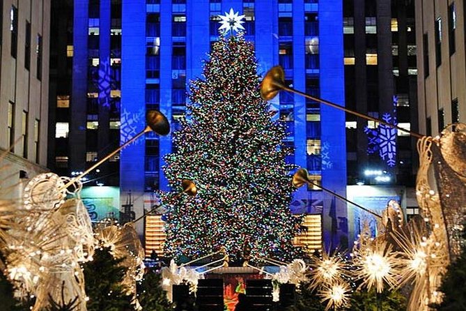 Private New York City Christmas Walking Tour - Fifth Avenue’s window displays