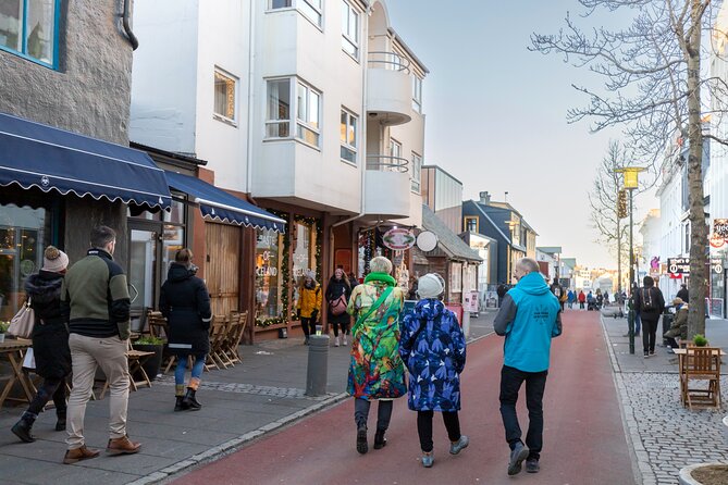 Private Reykjavik Christmas Food Tour - Seasonal fish and a second chance at hákarl