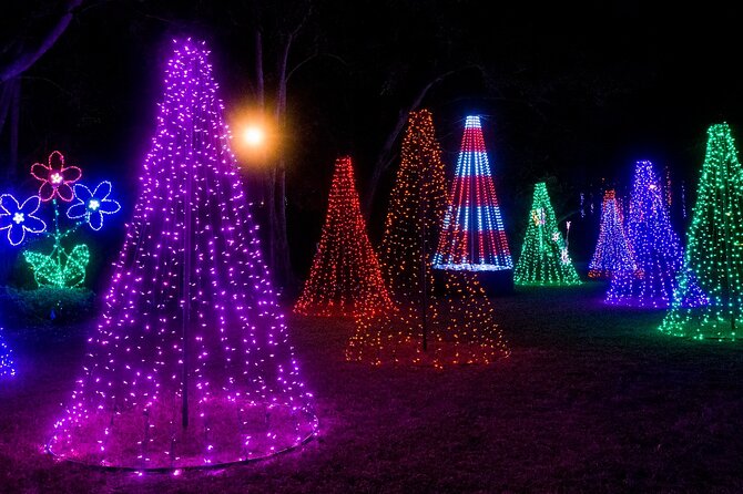 Private Tour to Christmas Winter Village, Bayshore and Hyde Park - Willow Avenue’s coordinated Christmas lights