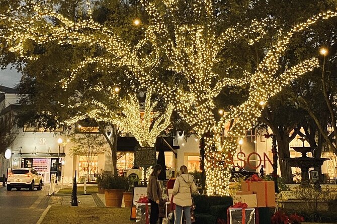 Private Tour to Christmas Winter Village, Bayshore and Hyde Park - The personal touch: music, hot chocolate, and James