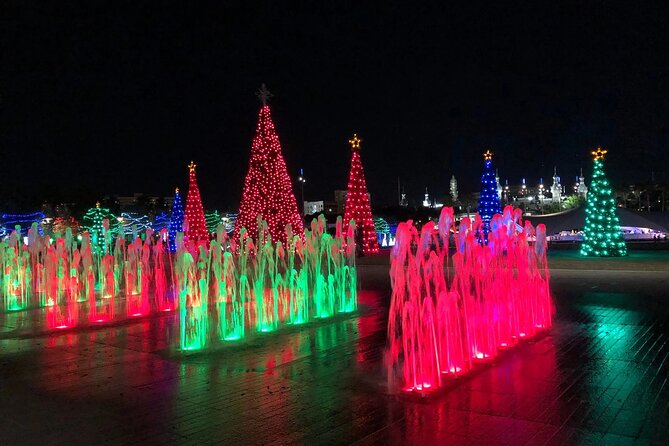 Private Tour to Christmas Winter Village, Bayshore and Hyde Park - Curtis Hixon Waterfront Park and Winter Village