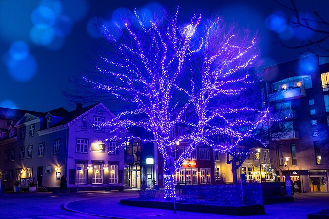 Reykjavik Christmas Walking Tour - Penninn Eymundsson and Iceland’s book tradition