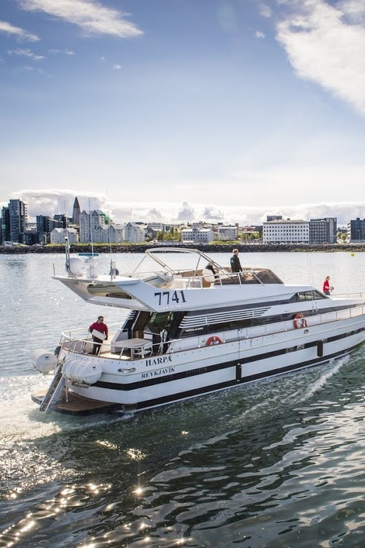 Reykjavík: New Year's Eve Northern Lights Yacht Cruise - Group size and the feel of the yacht