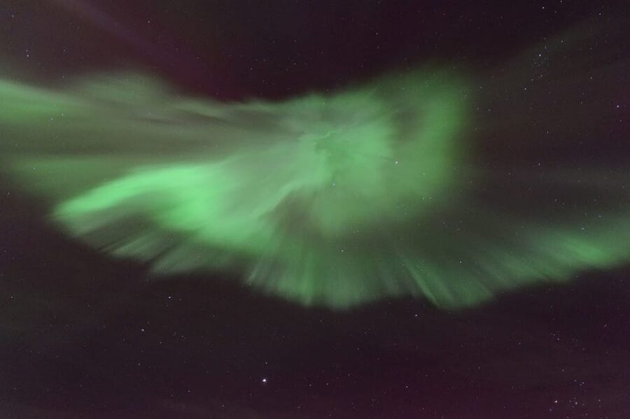 Reykjavík: New Year's Eve Northern Lights Yacht Cruise - Is $140 a fair price?