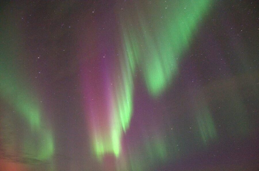 Reykjavík: New Year's Eve Northern Lights Yacht Cruise - Practical details that affect your decision