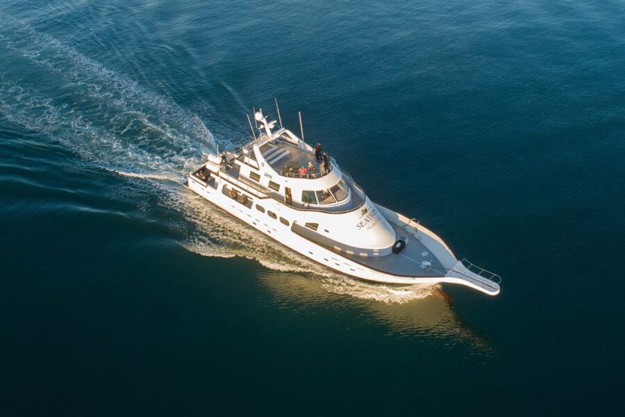 Reykjavik: New Years Fireworks Midnight Cruise - The Amelia Rose departure at 10:30 PM
