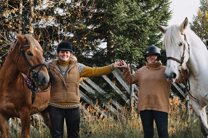 Riding Tour with Finnhorses at Santa Claus Village - What happens during the one-hour visit