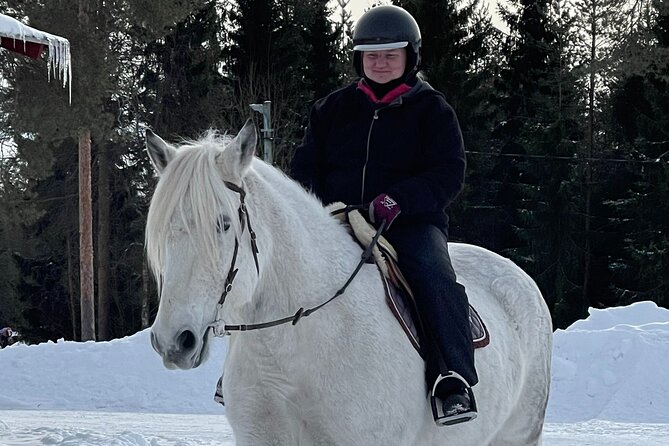 Riding Tour with Finnhorses at Santa Claus Village - Is $126.03 a fair price?