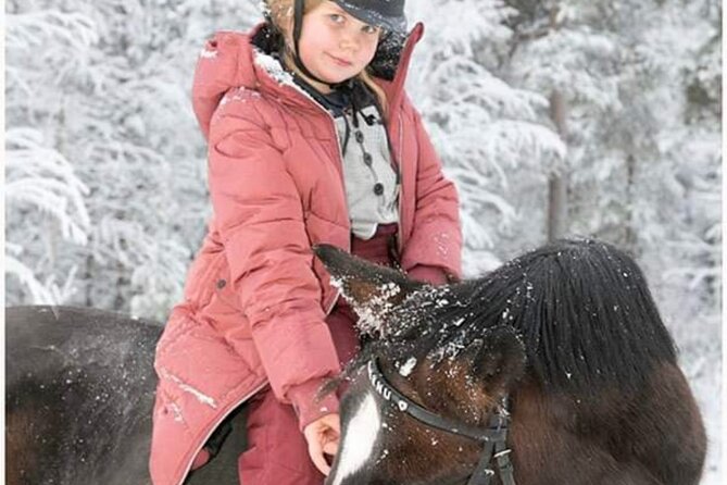Riding Tour with Finnhorses at Santa Claus Village - Why the horses are the heart of the experience