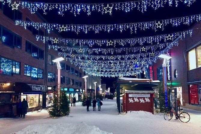 Rovaniemi Guided Tour and Santa Claus Village - Rovaniemi city sights and the Arktikum question