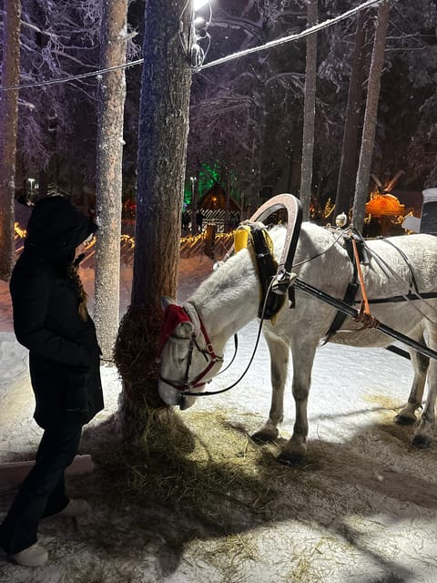 Rovaniemi: Guided Tour of Santa Claus Village - Santa’s Main Post Office and the Lapland letter stop