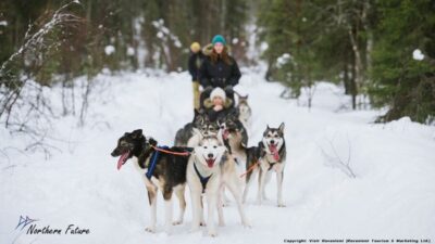 Meet Santa Claus, Reindeer Sleigh Ride & Huskies