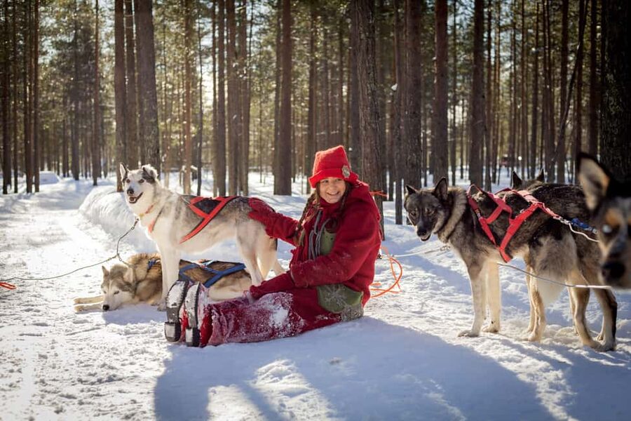 Rovaniemi: Meet Santa's Most Trusted Husky Dogs - Key points to know before you go