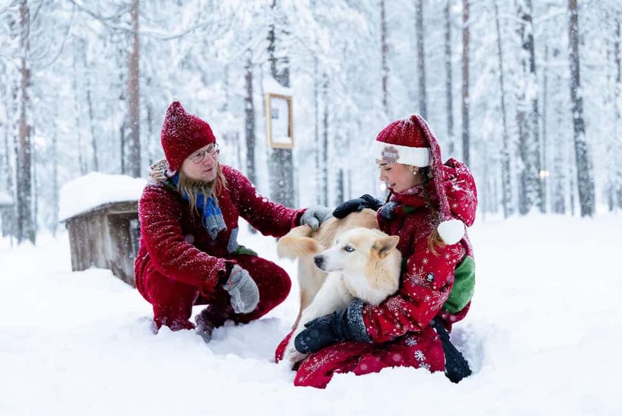 Rovaniemi: Meet Santa's Most Trusted Husky Dogs - Meeting Santa’s huskies near Rovaniemi