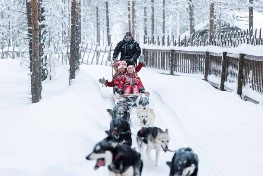 Rovaniemi: Meet Santa's Most Trusted Husky Dogs - Meeting the dogs and learning their jobs