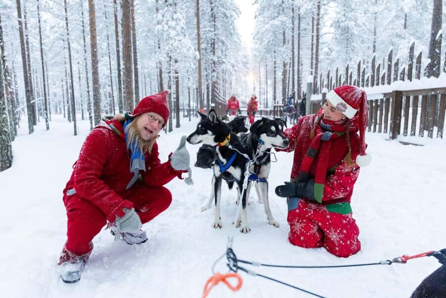 Rovaniemi: Meet Santa's Most Trusted Husky Dogs - What happens during the 10-minute minibus ride