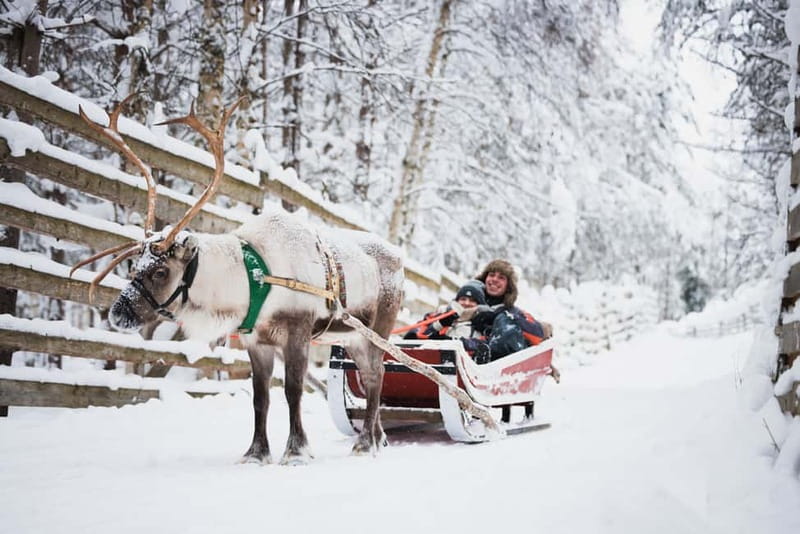 Rovaniemi: Reindeer, Huskies & Santa Claus Village - Key points to know before booking