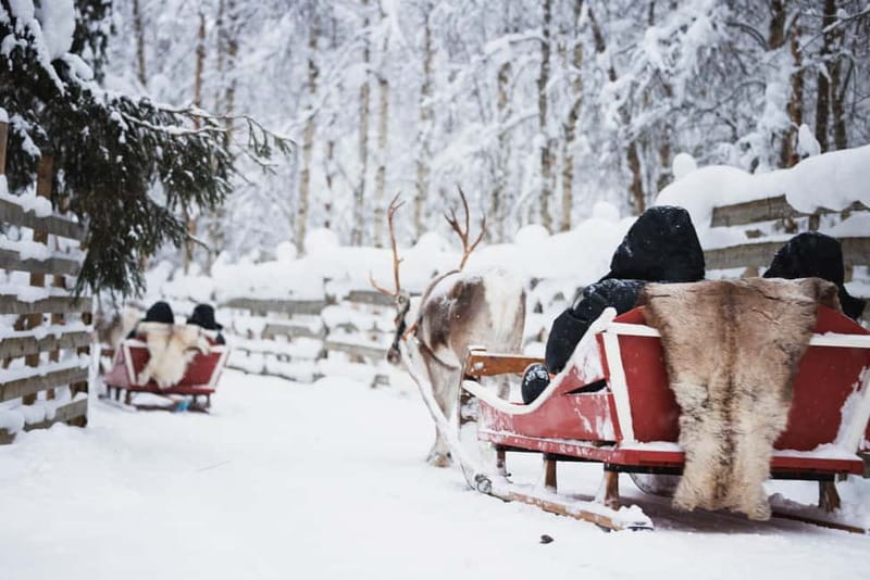 Rovaniemi: Reindeer, Huskies & Santa Claus Village - Reindeer Manor and a calm 500-meter sleigh ride