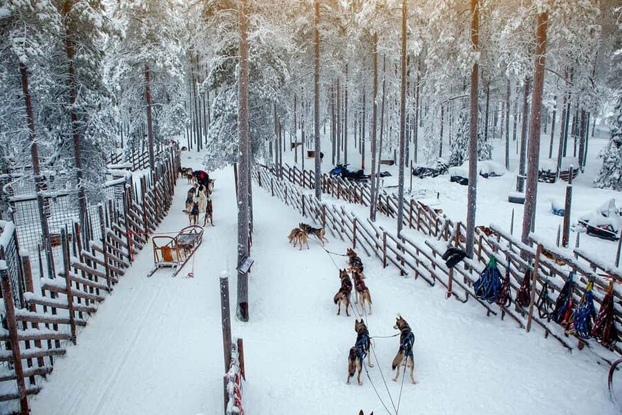 Rovaniemi: Reindeer & Husky Ride with Santa Claus Village - Key points to know before booking
