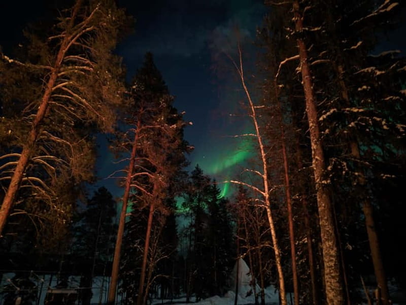 Rovaniemi:Santa Claus Village Guided Tour with Santa's gift - The 15-minute ride from Rovaniemi