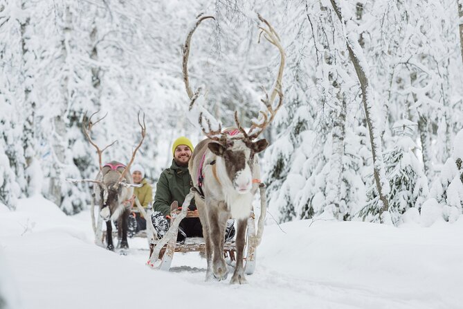 Rovaniemi Santa Claus Village Husky and Reindeer Tour VIP VAN - Is $287.78 per person good value?