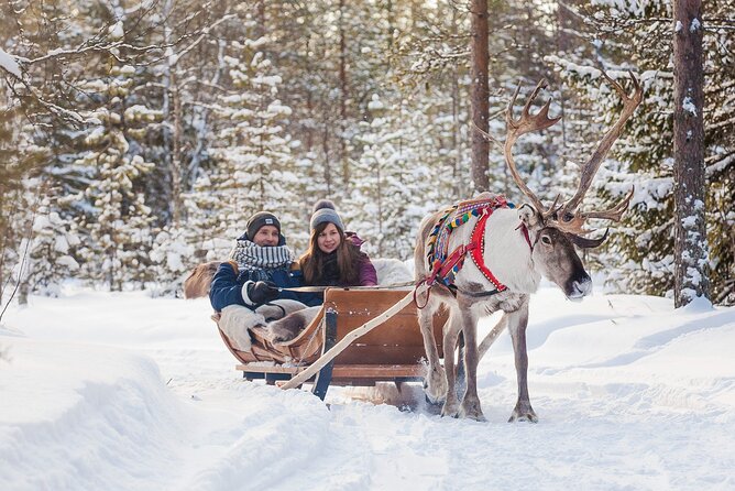 Rovaniemi Santa Claus Village Husky and Reindeer Tour VIP VAN - Who will enjoy this Arctic day most?