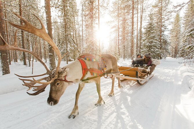 Rovaniemi Santa Claus Village Husky and Reindeer Tour VIP VAN - The husky and reindeer portion adds variety
