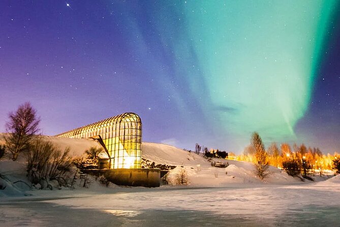 Rovaniemi Santa Claus Village Husky Reindeer Farm Arctic Museum - Ounasvaara gives you a quick taste of the forest