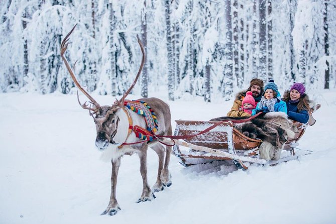 Rovaniemi Santa Claus Village Husky Reindeer Farm Arctic Museum - Santa Claus Village is festive, busy, and built for photos