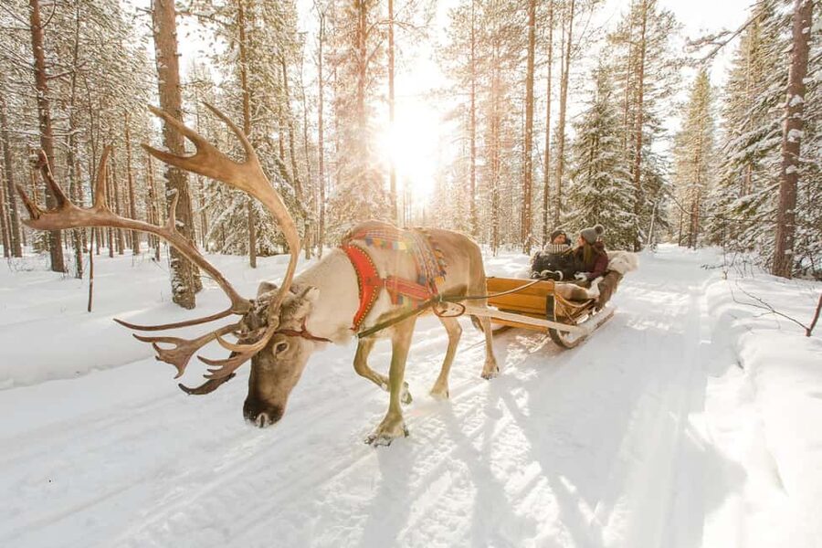 Rovaniemi: Santa Claus Village + Husky & Reindeer Sled Ride - Key points to know before booking