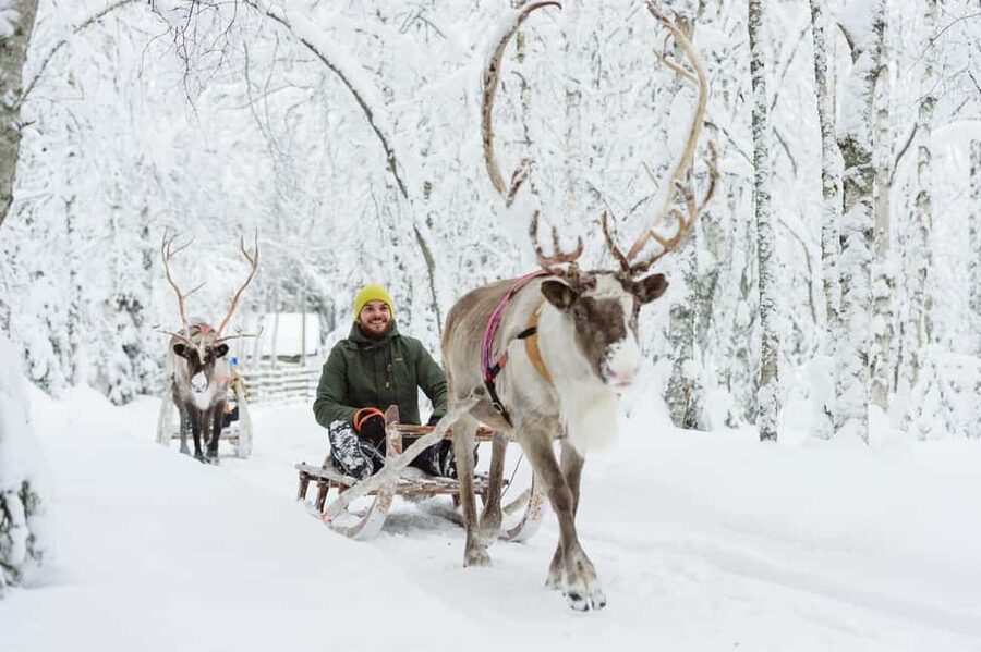Rovaniemi: Santa Claus Village + Husky & Reindeer Sled Ride - Three classic Lapland stops in one compact tour