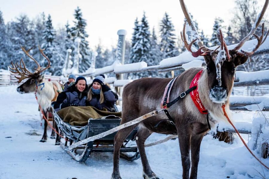 Rovaniemi: Santa Claus Village + Husky & Reindeer Sled Ride - Winter clothing, timing, and practical planning