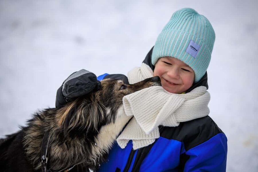 Rovaniemi: Santa Claus Village, Husky & Reindeer Tour - The gentle reindeer sleigh ride