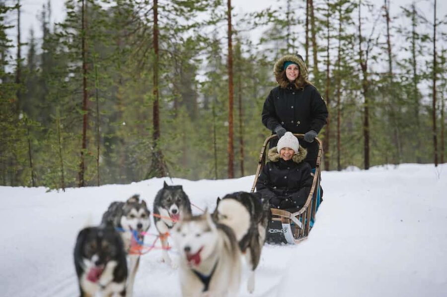Rovaniemi: Santa Claus Village, Husky & Reindeer Tour - What the six-hour schedule means for you