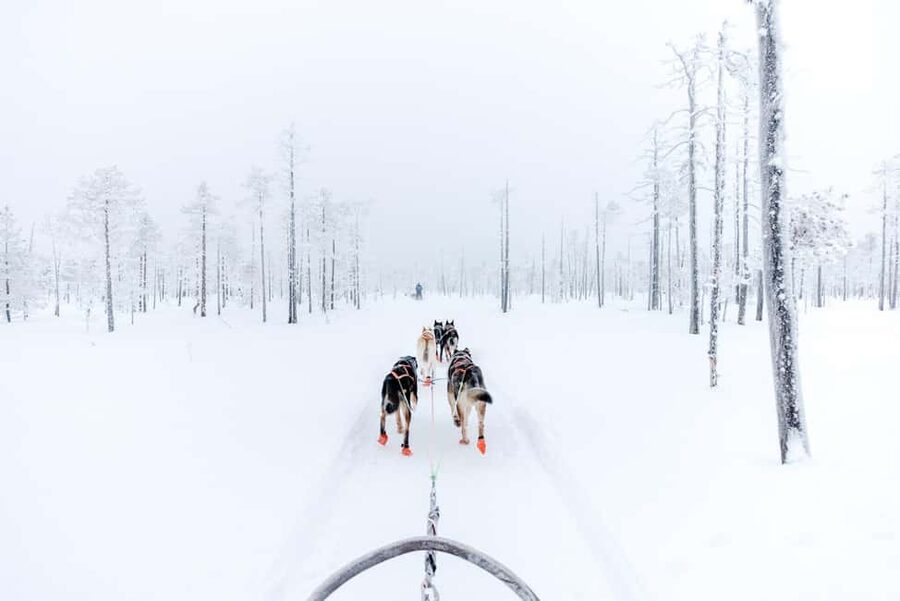 Rovaniemi: Santa Claus Village, Husky & Reindeer Tour - Who should book this experience?